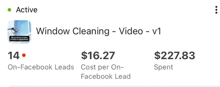 Window Cleaning Services campaign results